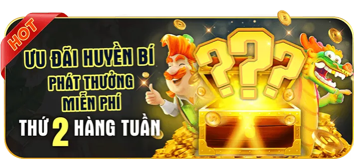 Các quy tắc và điều khoản quan trọng